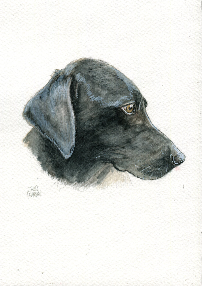 Commission List - Mail Order / Convention Pickup